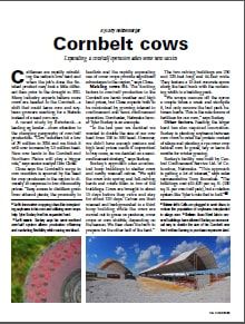 corn belt cows pdf image