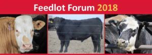 Feedlot Forum 2018 image with three cows