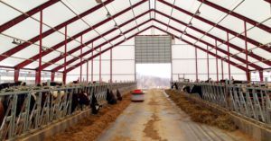 cattle confinement with fabric buildings